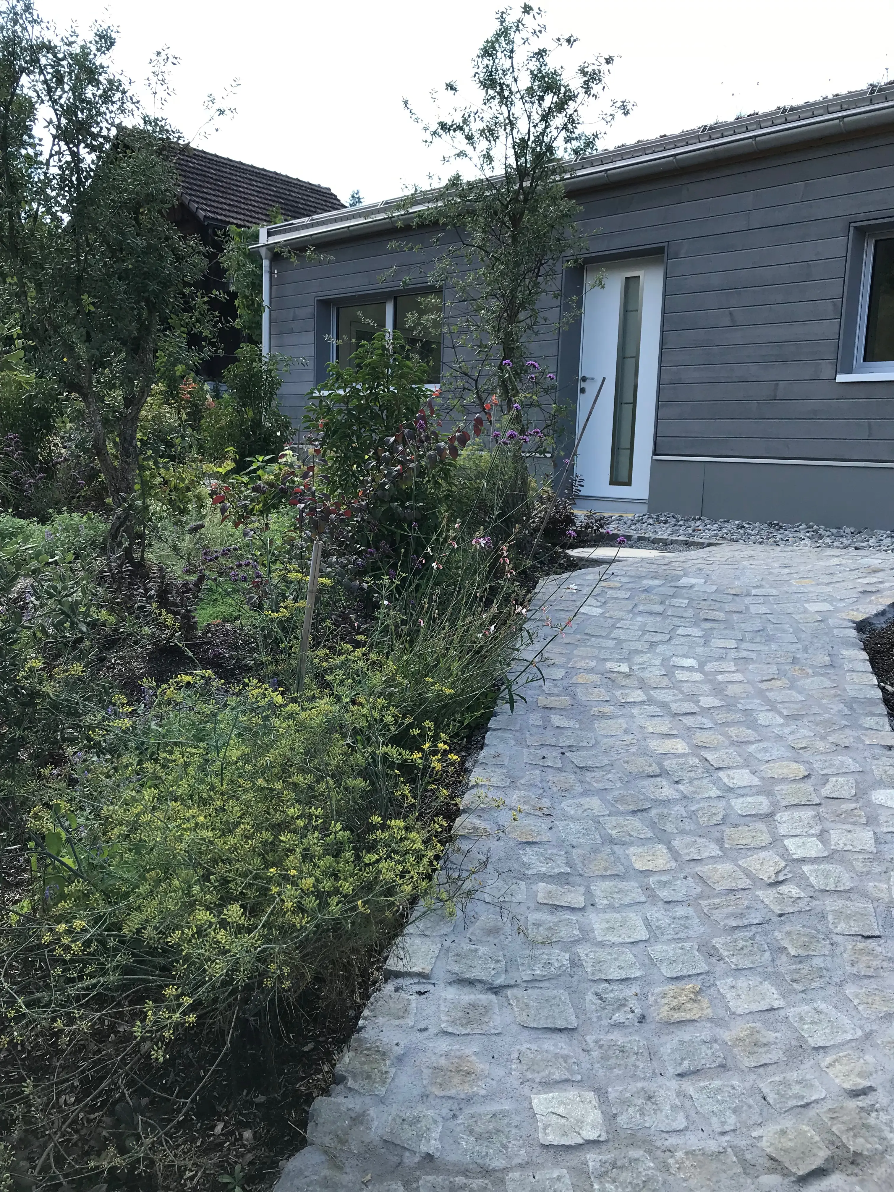 Weg durch den Garten